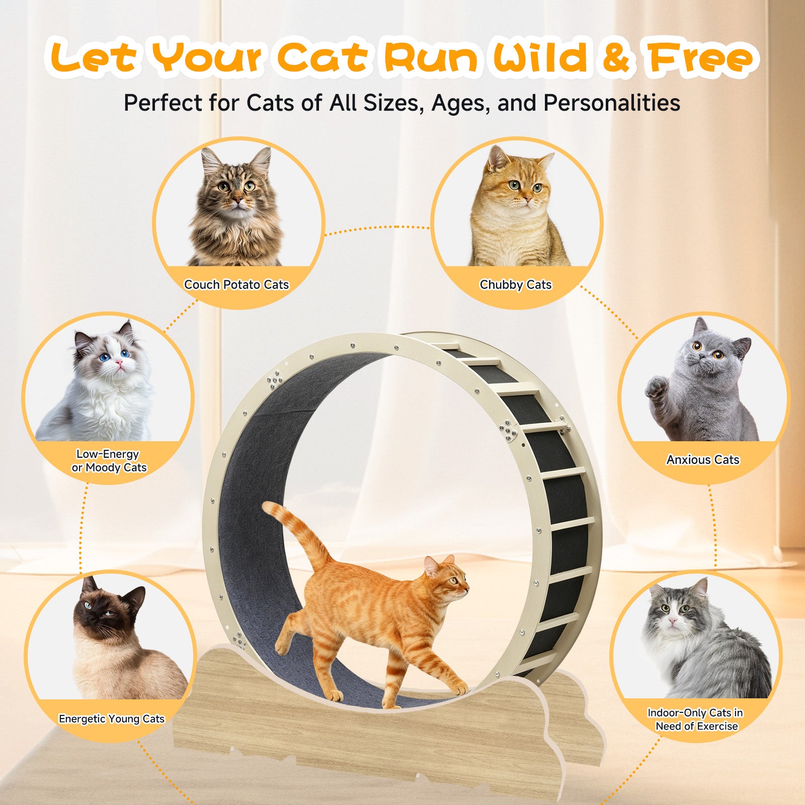 LUCKLIFE® 40" Metal Large Cat Exercise Wheel with Detachable Carpet & Teaser/Stickers, PET-CEW
