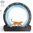 COMHOMA 40" Metal Cat Wheels for Indoor Cats Treadmill with Detachable Carpet & Teaser/Stickers, CEW06/CEW07
