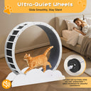 LUCKLIFE® 40" Metal Large Cat Exercise Wheel with Detachable Carpet & Teaser/Stickers, PET-CEW
