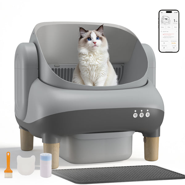 Cat Litter Box
