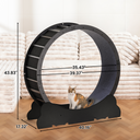 LUCKLIFE Large Cat Exercise Wheel with Detachable Carpet & Teaser/Stickers, PET-CEW01-BLK