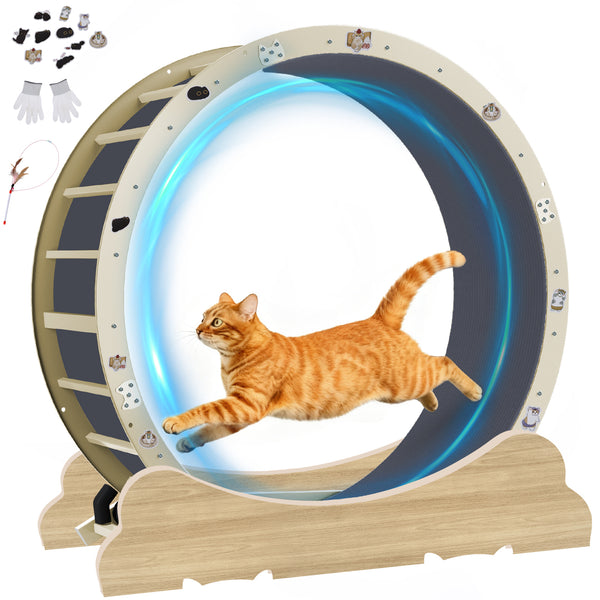 Cat Wheel