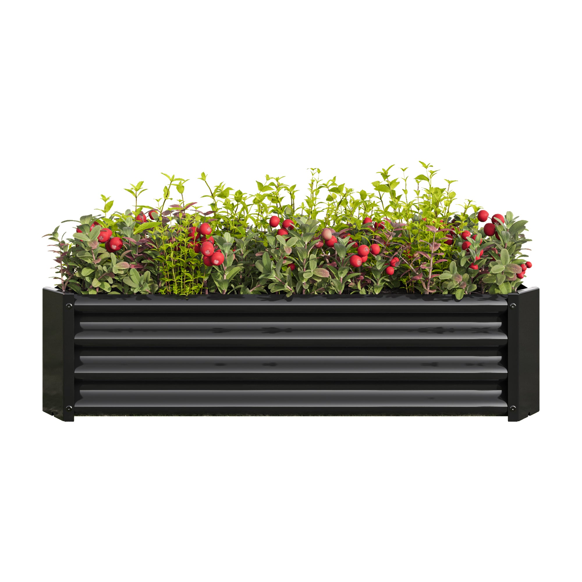 Metal Raised Garden Bed with Gloves Tools OT-GD02