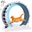 LUCKLIFE® 40" Metal Large Cat Exercise Wheel with Detachable Carpet & Teaser/Stickers, PET-CEW