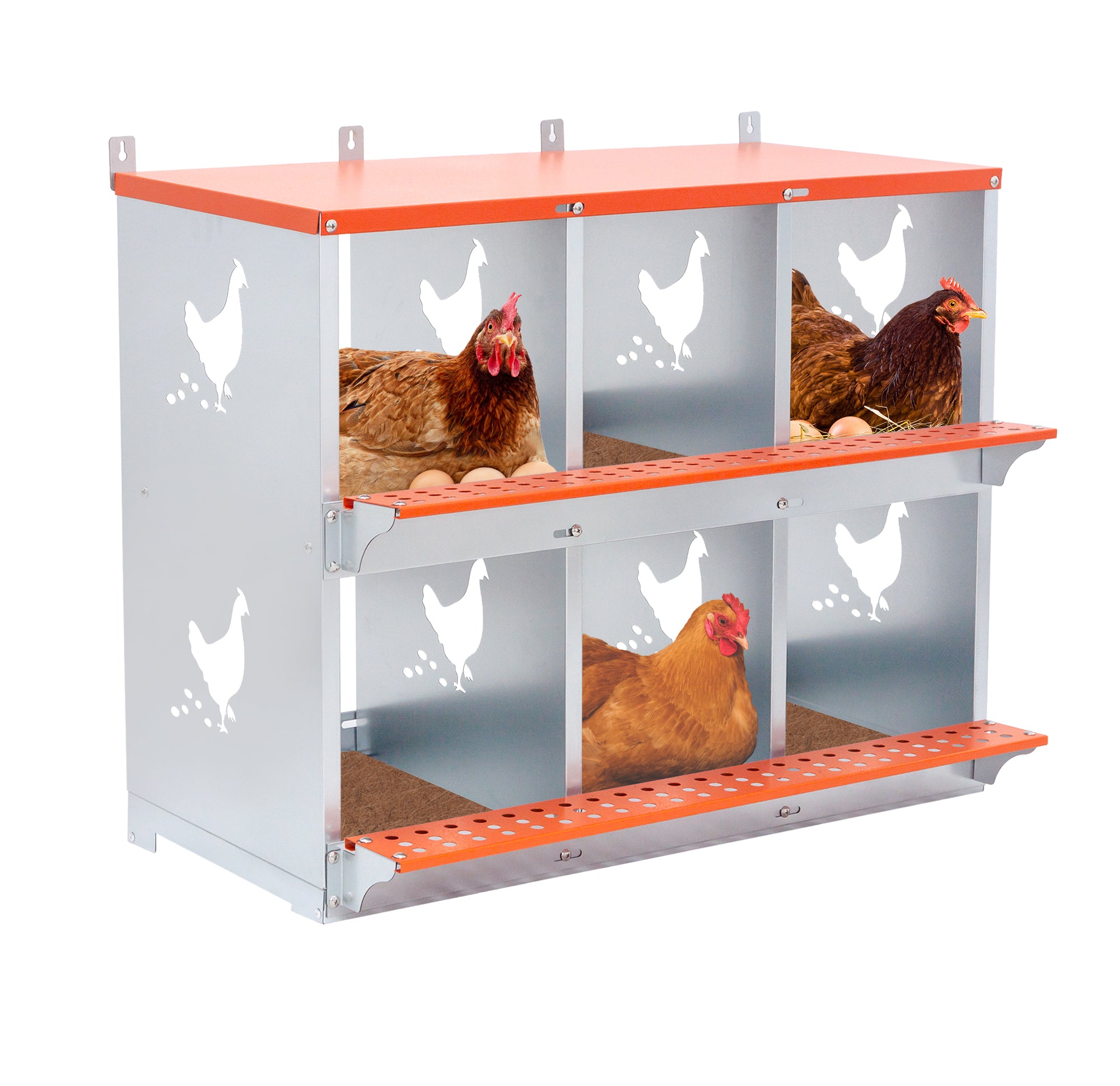 6-Bay Metal Nest Box-Wall Mount for Hens/Ducks, Easy Egg Collection & Assembly, Vented Galvanized Steel Coop Equipment Orange