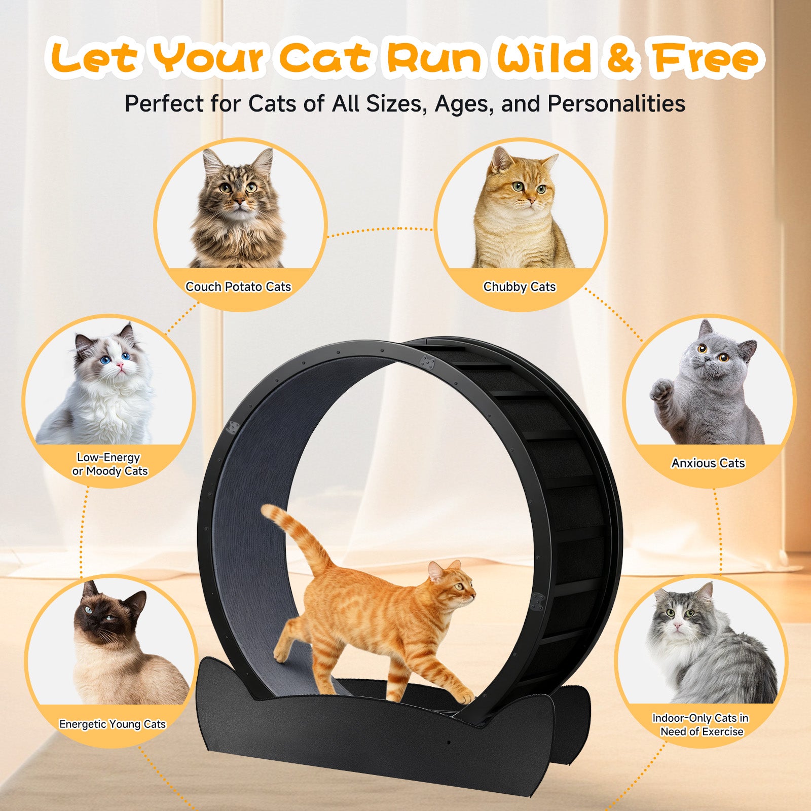 LUCKLIFE® 40" Metal Large Cat Exercise Wheel with Detachable Carpet & Teaser/Stickers, PET-CEW