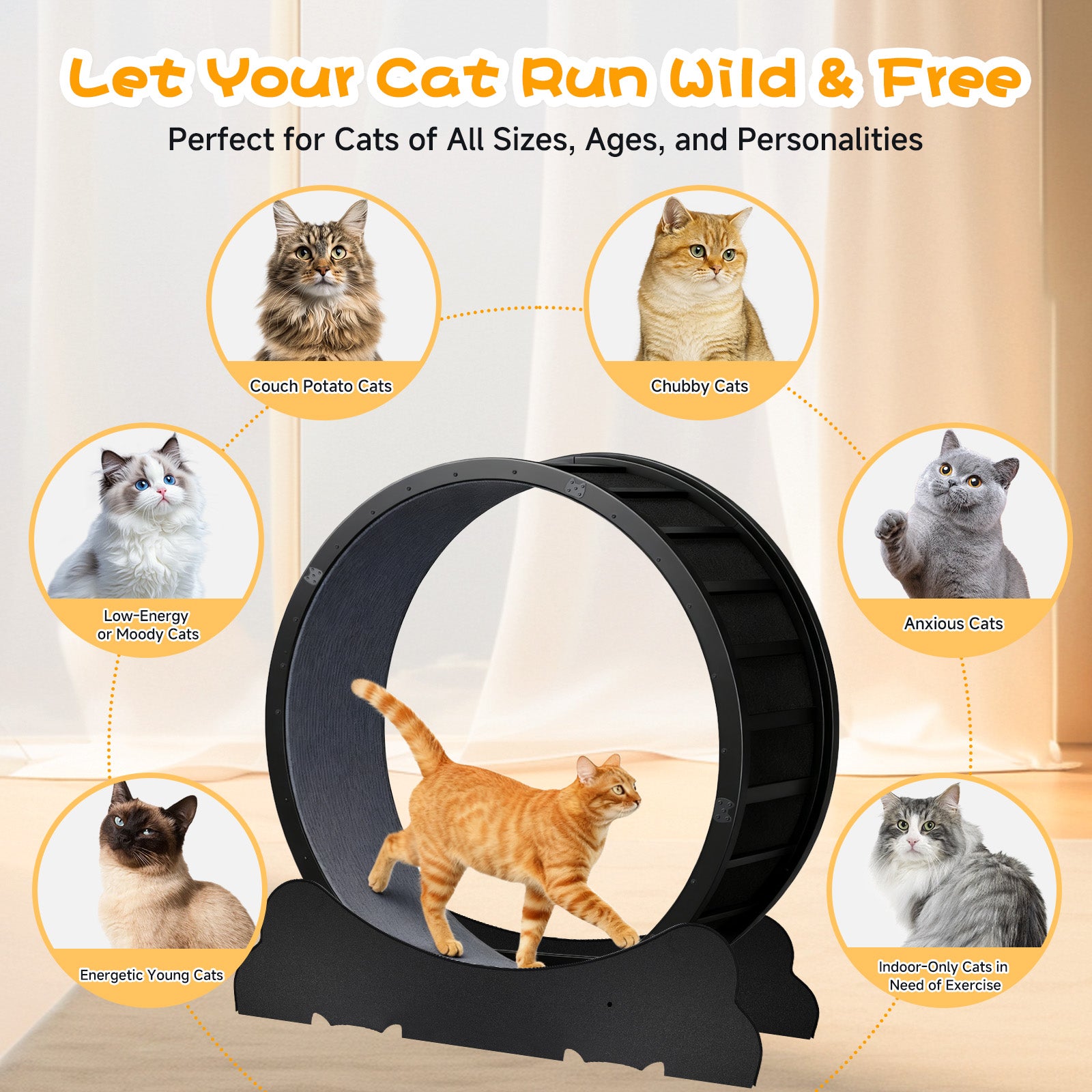 COMHOMA 40" Metal Cat Wheels for Indoor Cats Treadmill with Detachable Carpet & Teaser/Stickers, CEW06/CEW07