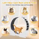 LUCKLIFE® 40" Metal Large Cat Exercise Wheel with Detachable Carpet & Teaser/Stickers, PET-CEW
