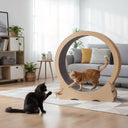 29" Cat Wheel for Indoor Pets with Detachable Carpet, Quiet and Sturdy, Suitable for Most Cats Running / Walking / Training