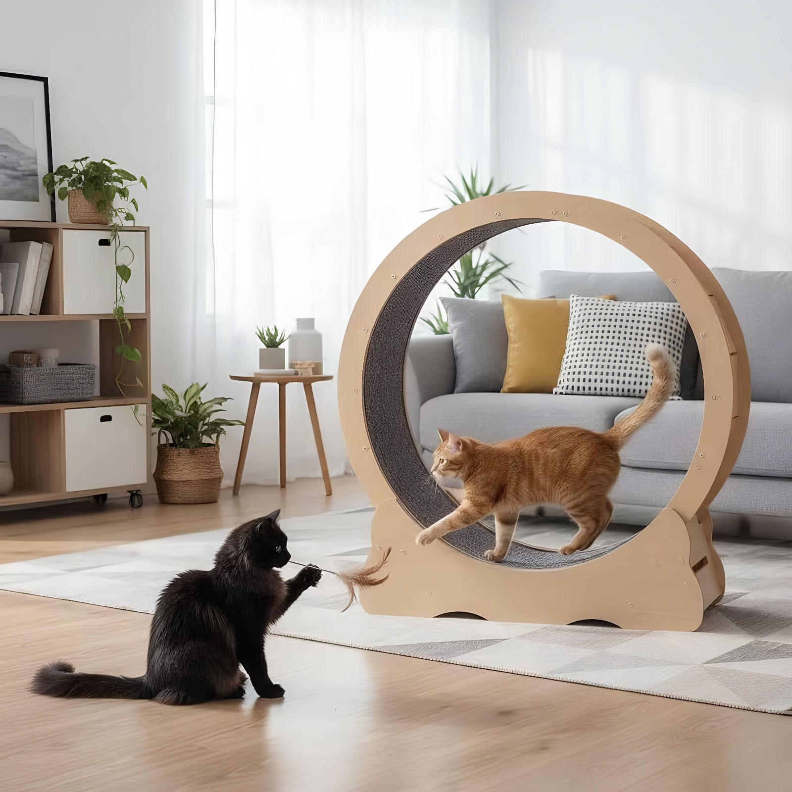 29" Cat Wheel for Indoor Pets with Detachable Carpet, Quiet and Sturdy, Suitable for Most Cats Running / Walking / Training