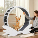 LUCKLIFE® 40" Metal Large Cat Exercise Wheel with Detachable Carpet & Teaser/Stickers, PET-CEW