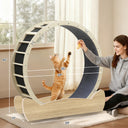 LUCKLIFE® 40" Metal Large Cat Exercise Wheel with Detachable Carpet & Teaser/Stickers, PET-CEW