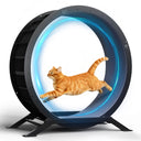 GTRACING Large Cat Exercise Wheel with Detachable Carpet & Teaser/Stickers, PET-CEW01-BLK