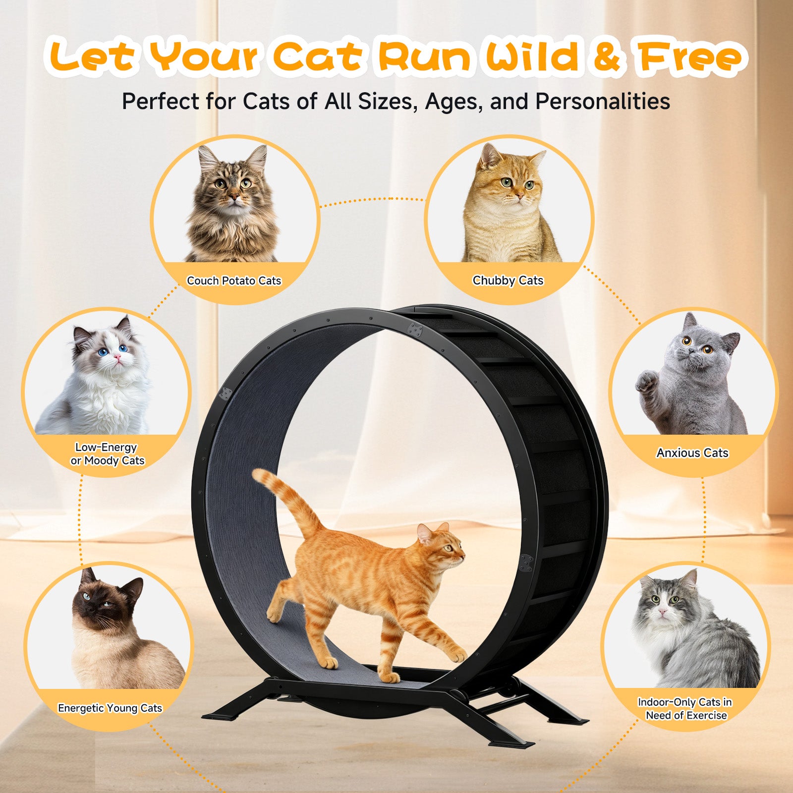 GTRACING Large Cat Exercise Wheel with Detachable Carpet & Teaser/Stickers, PET-CEW01-BLK