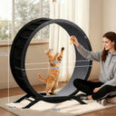 GTRACING Large Cat Exercise Wheel with Detachable Carpet & Teaser/Stickers, PET-CEW01-BLK