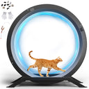 GTRACING Large Cat Exercise Wheel with Detachable Carpet & Teaser/Stickers, PET-CEW01-BLK
