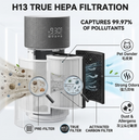 2-in-1 Pet Air Purifier for 1076 Sq. Ft Large Rooms, H13 True HEPA Filter Removes 99.97% of Odors/Dander/Smoke, Bonus Cat Scratcher Cover DX-APUR1