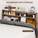 COMHOMA Bed Frame with 2 Storage Drawers & LED BF001