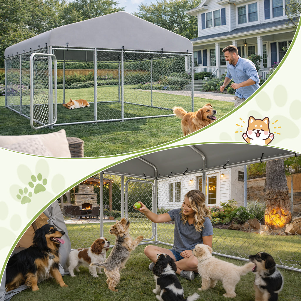 Outdoor Dog Kennel with All Weather Resistant Roof OT-GD05