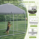 Outdoor Dog Kennel with All Weather Resistant Roof OT-GD05
