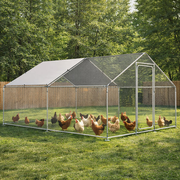 Chicken Coops