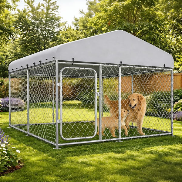 Outdoor Dog Kennels
