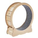 GTRACING Large Cat Exercise Wheel with Detachable Carpet & Teaser/Stickers, PET-CEW01-BLK