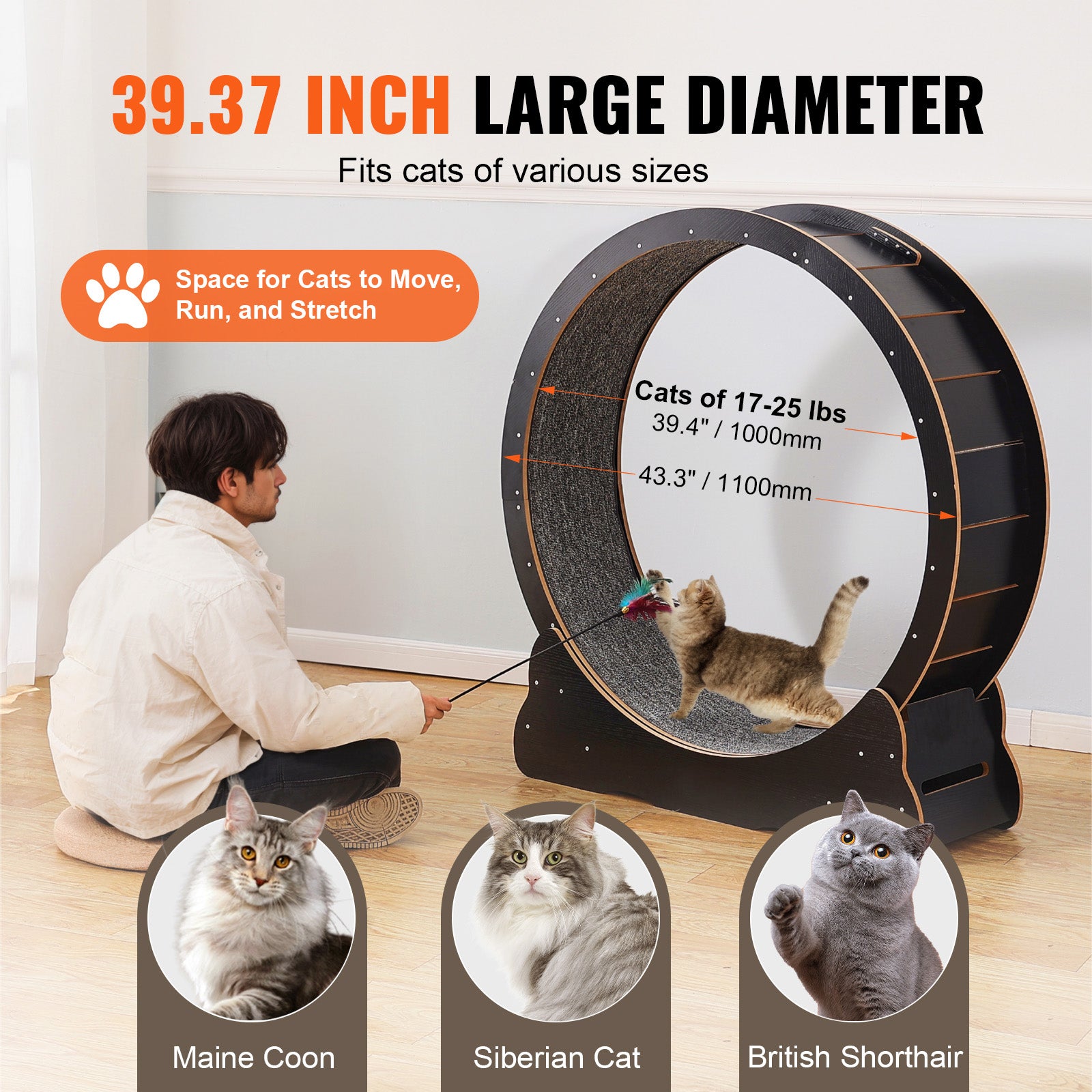 GTRACING Large Cat Exercise Wheel with Detachable Carpet & Teaser/Stickers, PET-CEW01-BLK