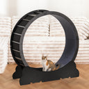 LUCKLIFE Large Cat Exercise Wheel with Detachable Carpet & Teaser/Stickers, PET-CEW01-BLK