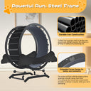 LUCKLIFE Large Cat Exercise Wheel with Detachable Carpet & Teaser/Stickers, PET-CEW01-BLK