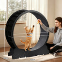LUCKLIFE Large Cat Exercise Wheel with Detachable Carpet & Teaser/Stickers, PET-CEW01-BLK