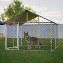 Large metal outdoor dog kennel with rust-proof wire mesh and a sturdy roof, securely enclosing a dog on green grass in a backyard setting at sunset.