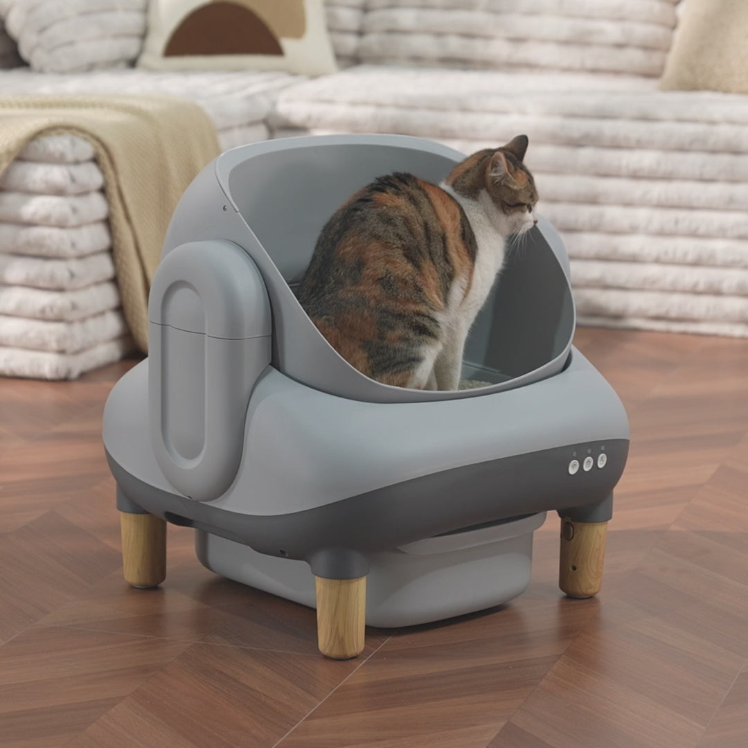 COMHOMA® Self Cleaning | Open Top Cat Automatic Litter Box, APP Control and Weight Monitoring
