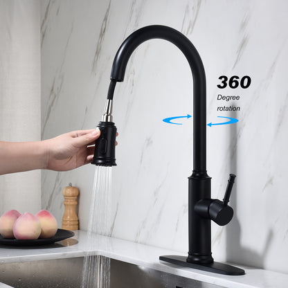 Kitchen Faucet with Pull Out Spraye