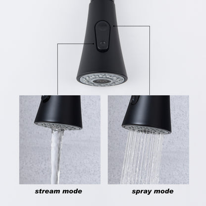 Kitchen Faucet with Pull Out Spraye