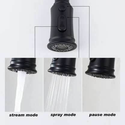 Kitchen Faucet with Pull Out Spraye