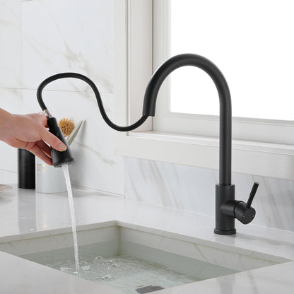 Kitchen Faucet with Pull Out Spraye