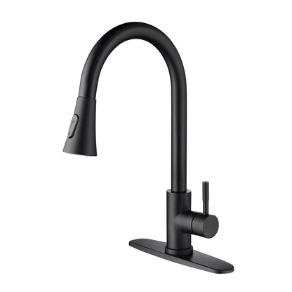 Kitchen Faucet with Pull Out Spraye