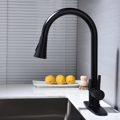 Kitchen Faucet with Pull Out Spraye