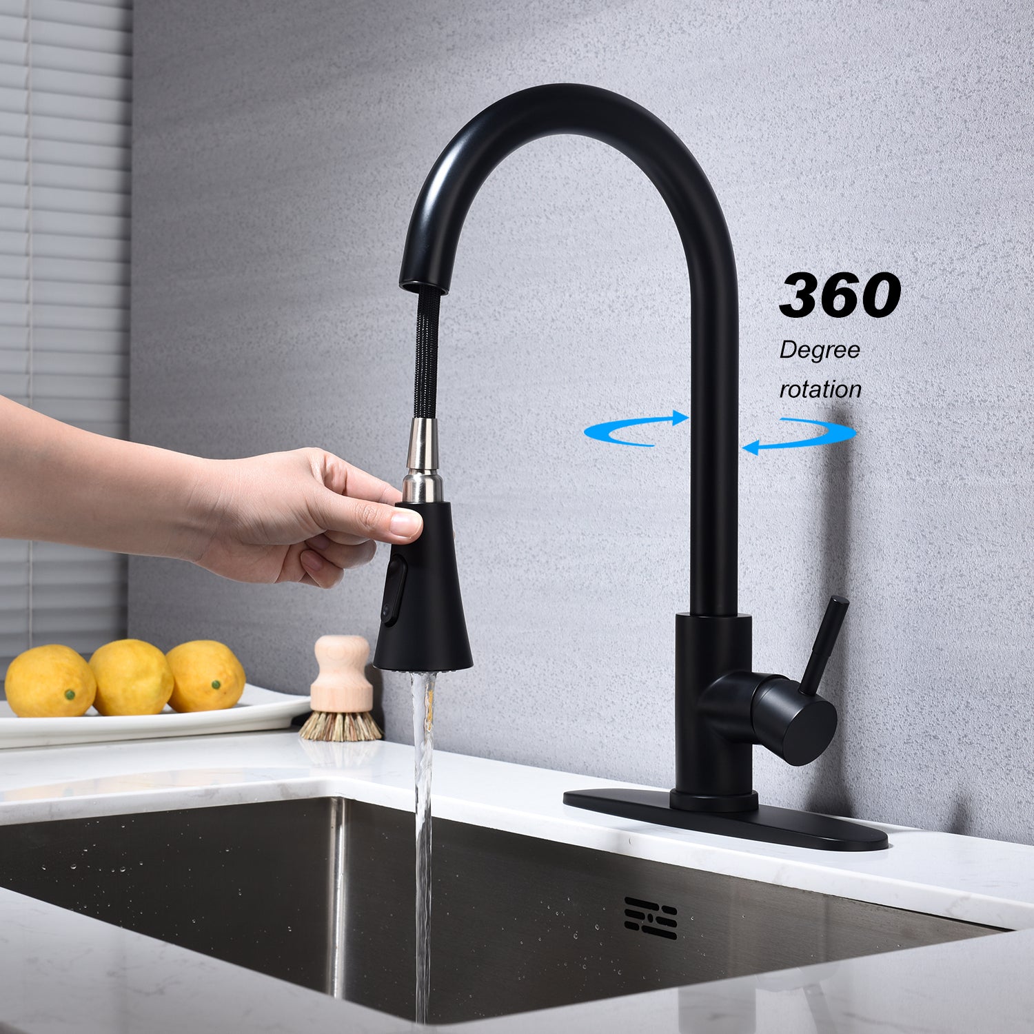 Kitchen Faucet with Pull Out Spraye